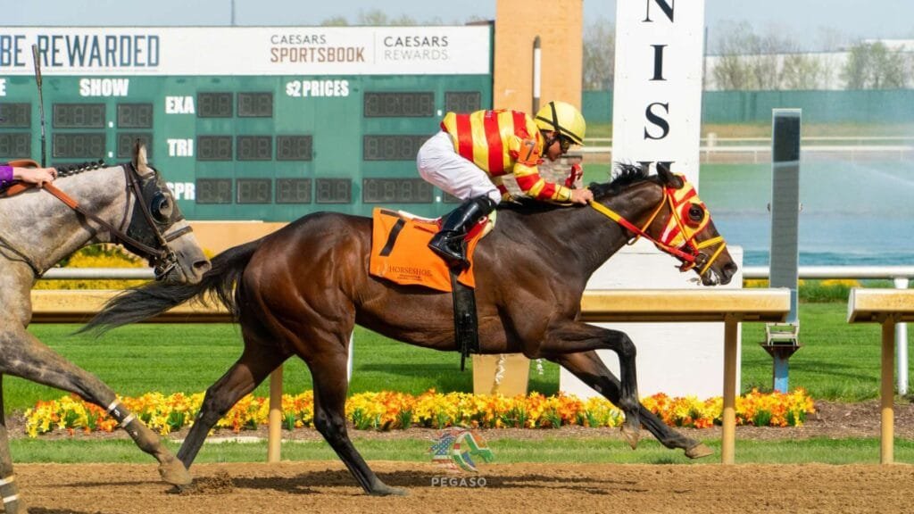 Cómo Apostar a Ganador y Colocado: El Tipster Pegaso te da sus trucos